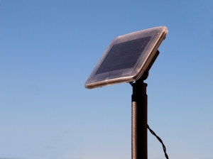 Solar Panels: It's More Than Just the Environment Solar Panels: It's More Than Just the Environment