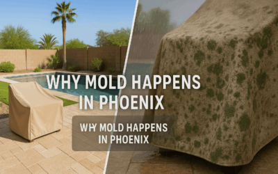 How to Get Mold Off Patio Furniture Covers: Phoenix Homeowner’s Guide